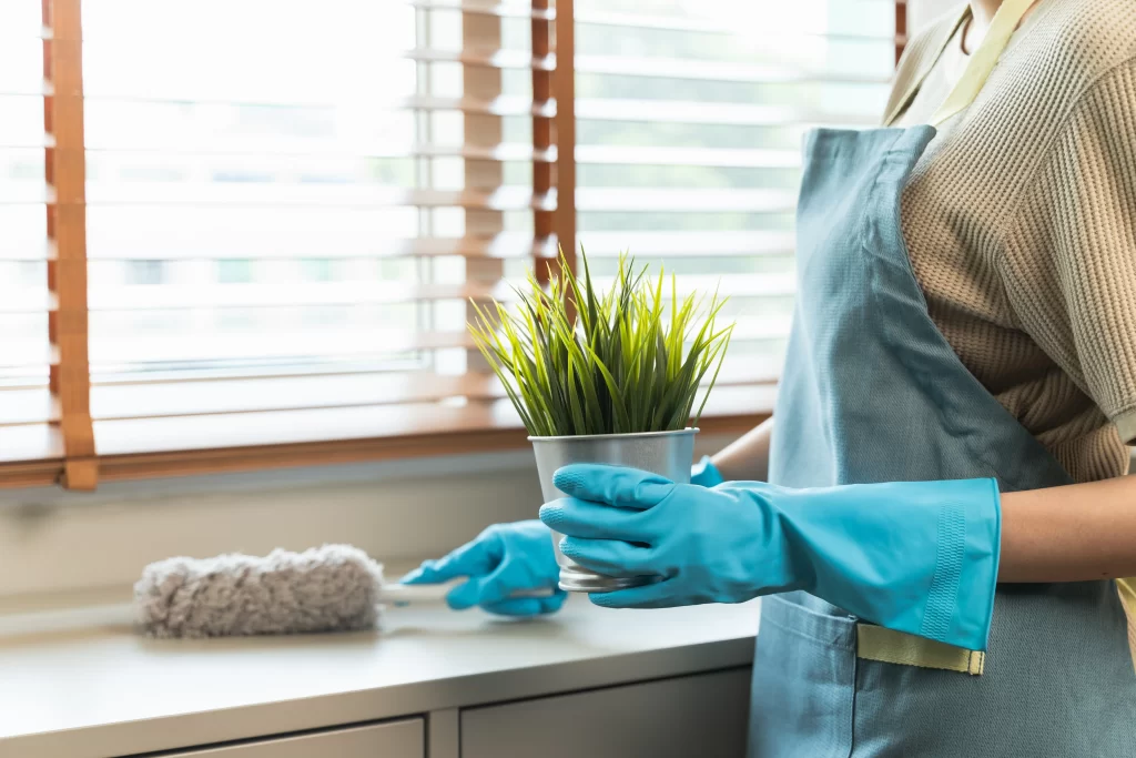 Household Organisation