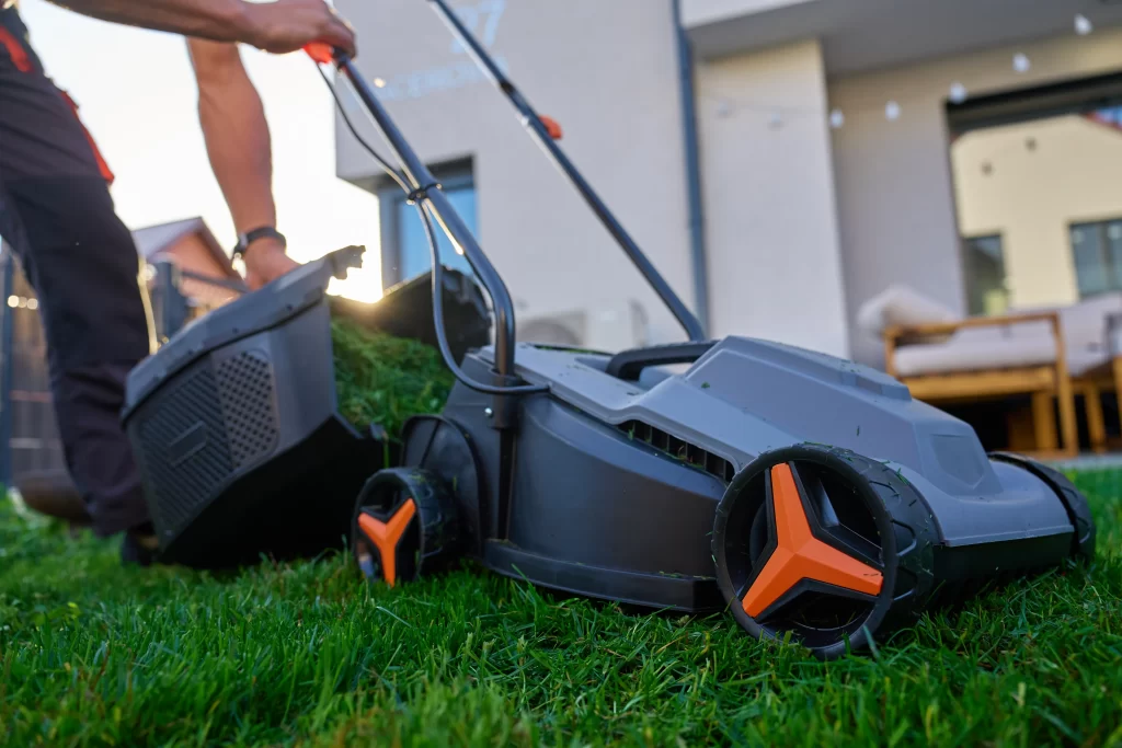 Routine Yard Maintenance